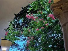 -Lamant Manor已闻花名关於蓝