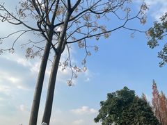-白鹭湾湿地公园