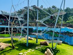 -西霞口神雕山野生动物世界