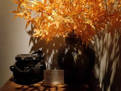 -Dragonfly 悠庭·按摩Spa(苏州中心广场店)