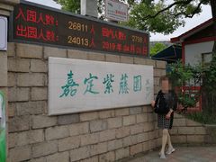 -嘉定紫藤园