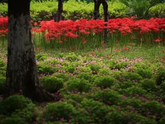 -白塘生态植物园