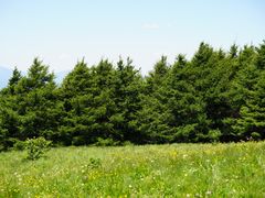 -白草畔自然风景区