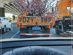 -上海市宝山区房地产交易中心-地下停车场