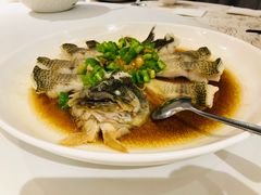 清蒸桂鱼-汀兰酒店-中餐厅