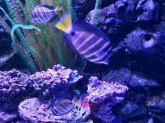 -皇家极地海洋世界-售票处