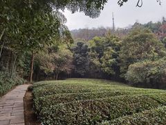 -敬亭山风景名胜区