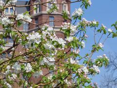 -利顺德大饭店·维多利亚花园(小白楼店)