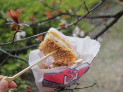 -1973继光香香鸡(大东方百货店)