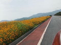 -米果果小镇