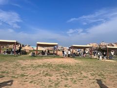 -坛南湾阿强农家乐.海鲜大排档老字号(福州地标美食店)