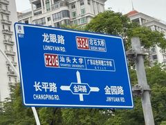 -金砂公园