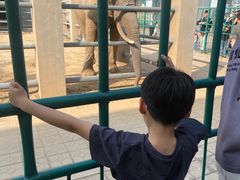 -保定市动物园