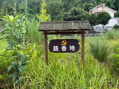 -海窝子古镇