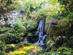 -Chom Cafe and Restaurant