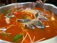 鮰鱼-芦苇荡·酸汤鱼(回龙观店)