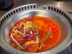 -辣伍鲜毛肚老火锅(元一店)