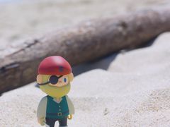 -西涌国际滨海旅游区