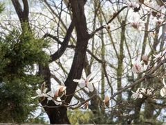 -北京颐和宾馆