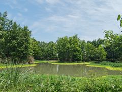 -桤木河湿地公园