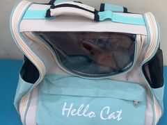 -天宠宠物医院24小时·急重症诊疗中心·全科·腔镜特色(和平分院)