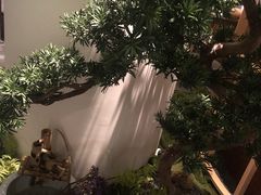 -梅间堂茶馆(绿地缤纷城店)