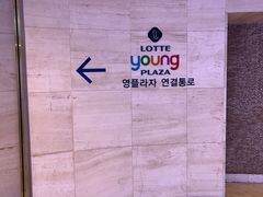 -乐天免税店(明洞店)