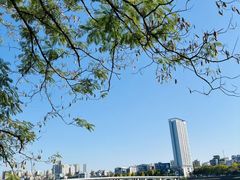 -灞河西岸滨河公园
