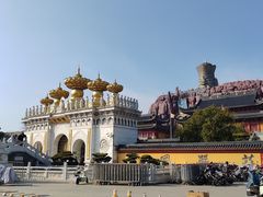 -上海东林寺(金山区)