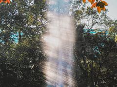 -九龙公园