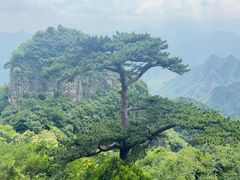 -圣莲山风景区