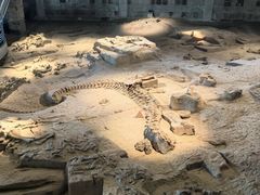 -自贡恐龙博物馆