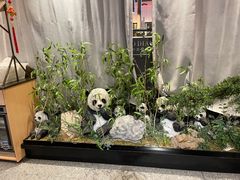 -将军府·鸡毛店(武侯祠店)