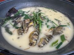 -岩泊渡桂鱼楼活鱼馆