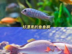 -正佳极地海洋世界