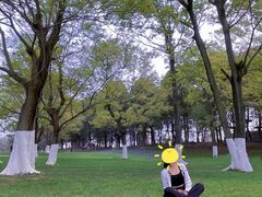 -秀丽东方