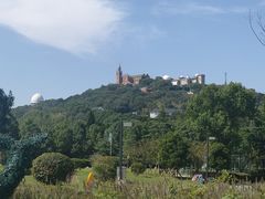 -上海佘山国家森林公园西佘山园