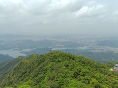 -梧桐山风景名胜区