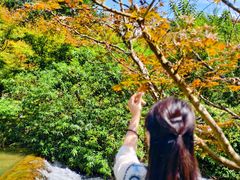 -天河潭旅游度假区
