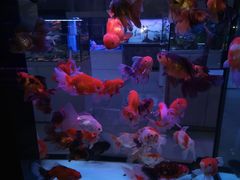 -三旗百汇商品城