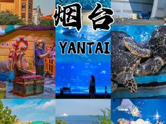 -烟台海昌鲸鲨海洋公园