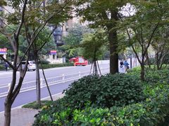 -运河游船(武林门码头)