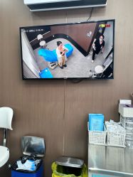 -禾丽康美医疗美容医院