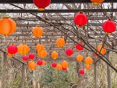 -宁波野生动物园