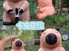-石燕湖生态旅游景区