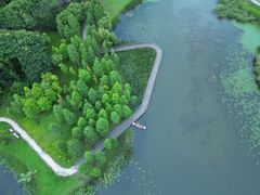 -贡湖湾湿地公园