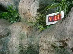 -金水鹤温泉国际酒店