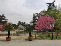 -北京西山国家森林公园