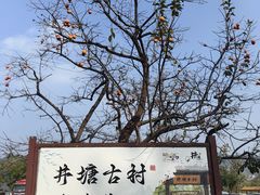 -井塘古村