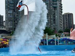 -海合安成都极地海洋公园